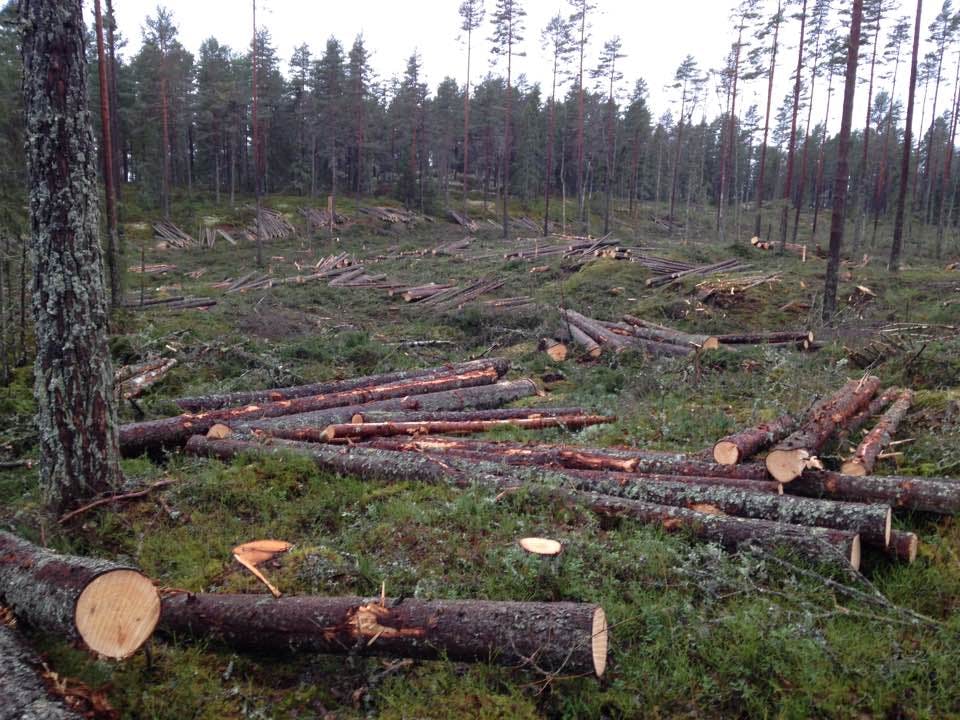 FlexQube helping manufacture forestry machines